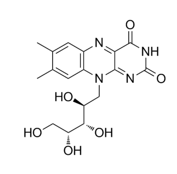 核黄素发酵技术分享