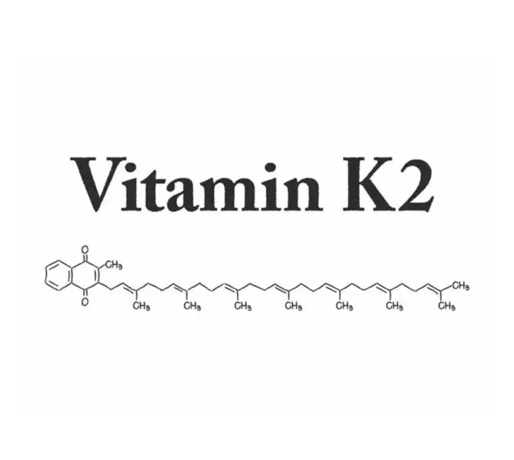 维生素K2发酵工艺