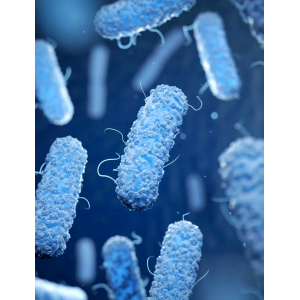 合成生物制药中大肠杆菌能做什么药?