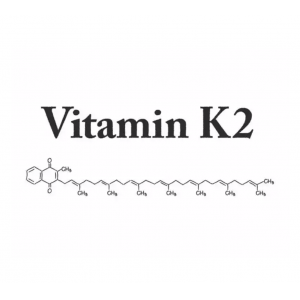 维生素K2发酵工艺
